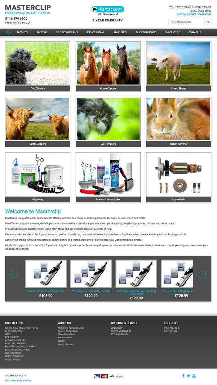 Website Example