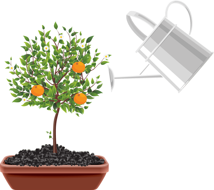 Watering Can